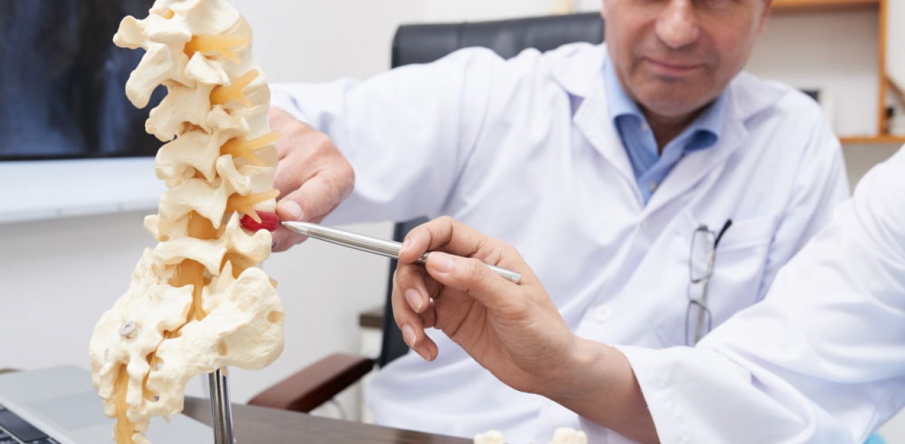 What should we know about our back and our spine?