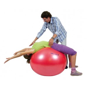 Gymnic Body Ball BRQ 