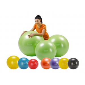 Gymnic Plus BRQ Gym Ball