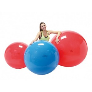 Physio Gymnic Gym Ball
