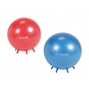 Gymnic Sit'n'Gym 55 cm (Red) Gym Ball