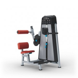 Proxomed Compass 540 Medical Trunk Extension and Flexion Training and Diagnostic Devices
