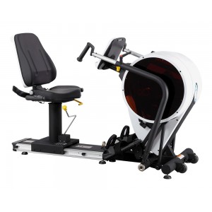 Herculife Body Charger Dual Action Recumbent Stepper Pro Rehabilitation