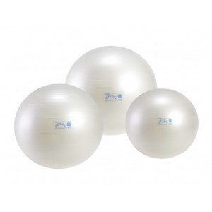 Gymnic Fitball Pro 55 cm, 65 cm, 75 cm X-BRQ Gym Ball