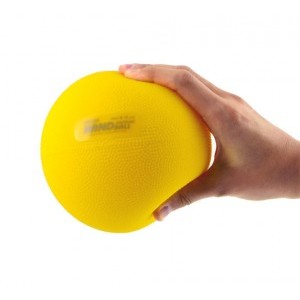 Gymnic Softplay Physiotherapy Exercise Ball