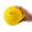 Softplay Handball 16 cm (Y)