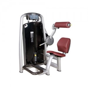 Herculife Back Extension Strength Training Machine