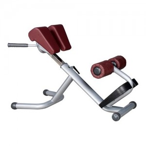 Herculife Roman Chair Strength Training Machine