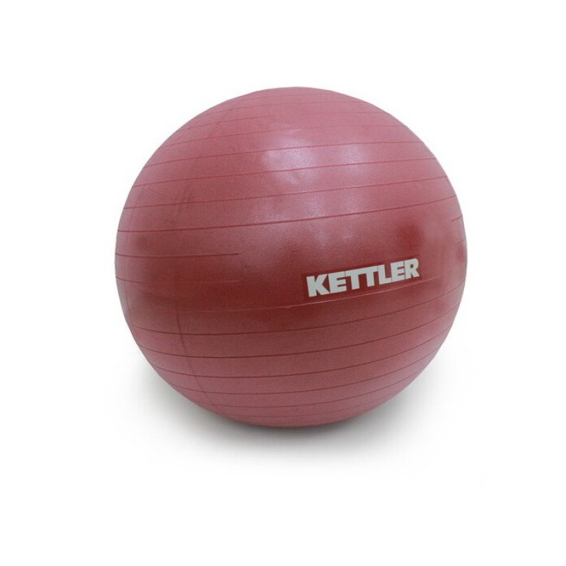 kettler gym ball 65cm