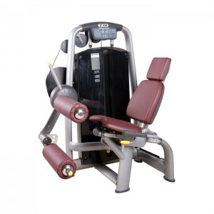 Herculife Seated Leg Curl Strength Training Machine